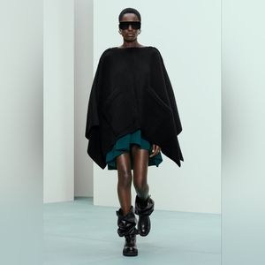 Zara Special Edition dress *RARE NWT